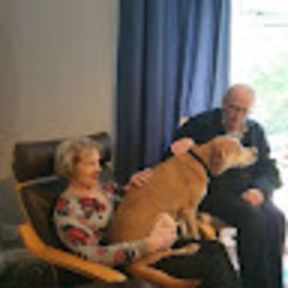 Meet your Posher, R - Picture 1 of 1